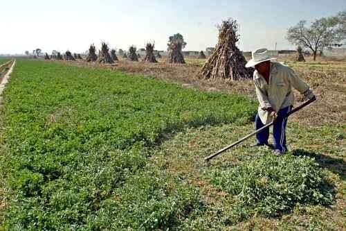 BB16DX0X