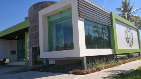 WhatsApp Image 2020-08-06 at 3.35.51 PM