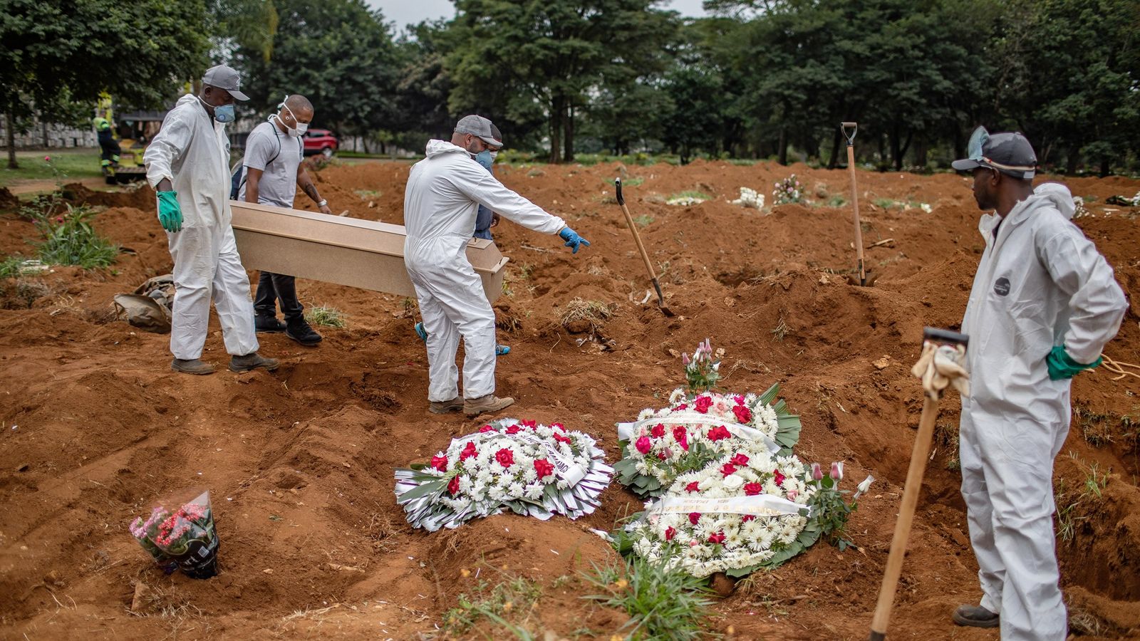 01_brazil_h_15355302