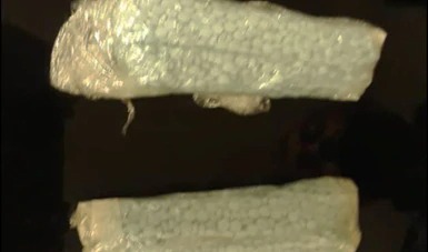 thumbnail_IMG-20200910-WA0058
