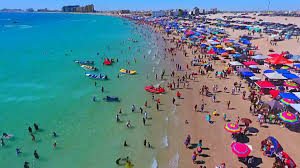 image (5)