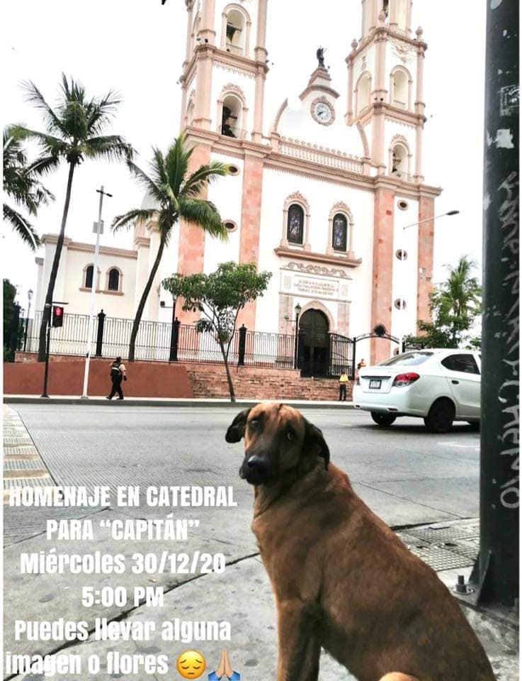 134639986_1776798215821205_4061474339966903512_n