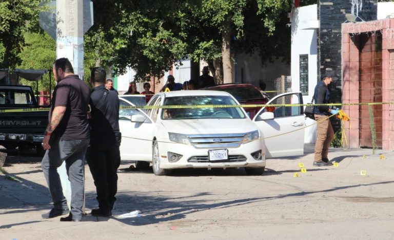 WhatsApp Image 2020-12-14 at 1.34.13 PM (1)