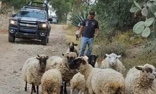 WhatsApp Image 2020-12-17 at 4.50.17 PM