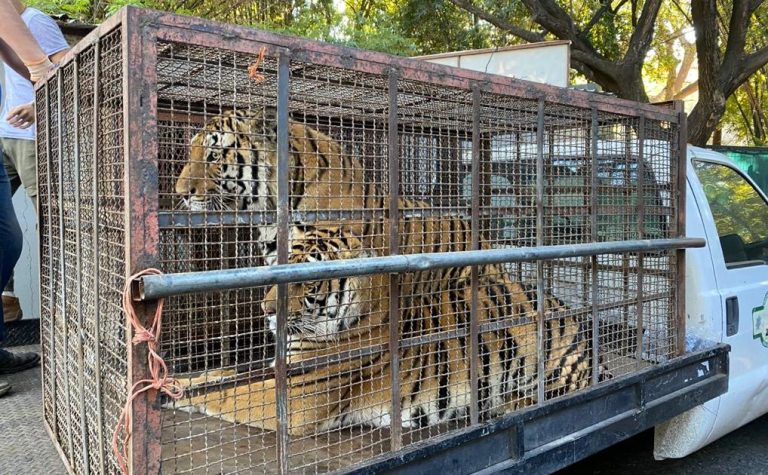 WhatsApp Image 2020-12-23 at 4.33.04 PM