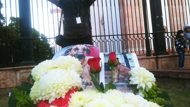 WhatsApp Image 2020-12-30 at 11.11.10 PM