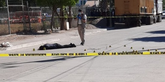 WhatsApp Image 2021-01-01 at 1.24.32 PM (1)