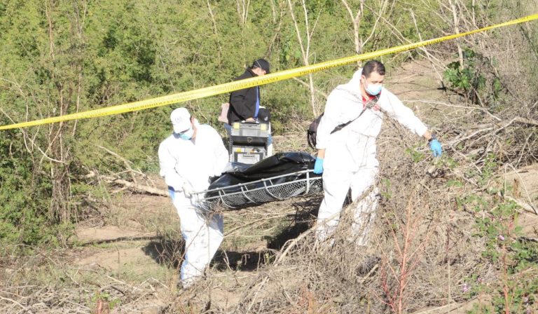 WhatsApp Image 2021-01-03 at 4.08.00 PM (1)