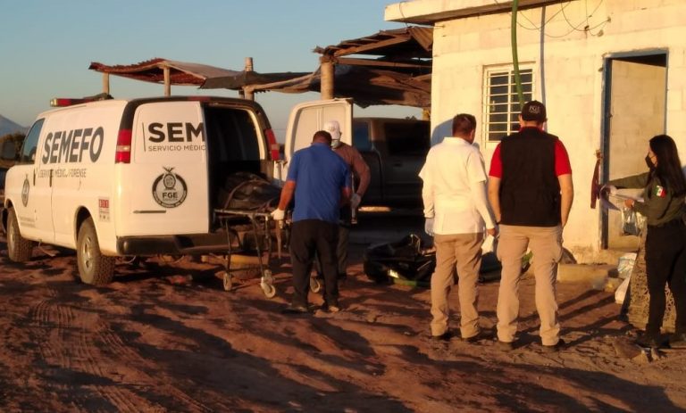 WhatsApp Image 2021-01-03 at 6.02.07 PM (2)