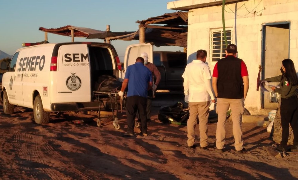 WhatsApp Image 2021-01-03 at 6.02.07 PM (2)