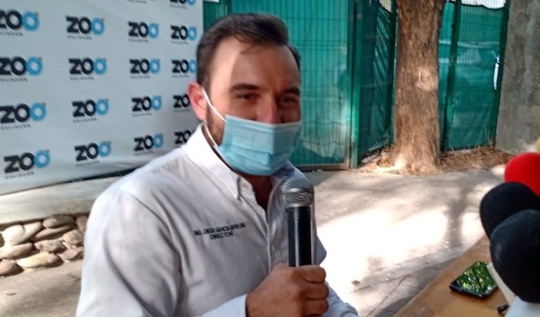 WhatsApp Image 2021-01-05 at 3.38.51 PM (1)