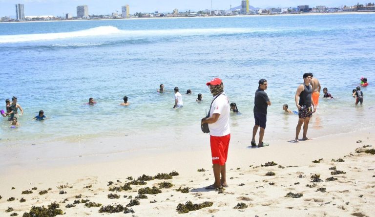 WhatsApp Image 2021-01-06 at 1.54.15 PM