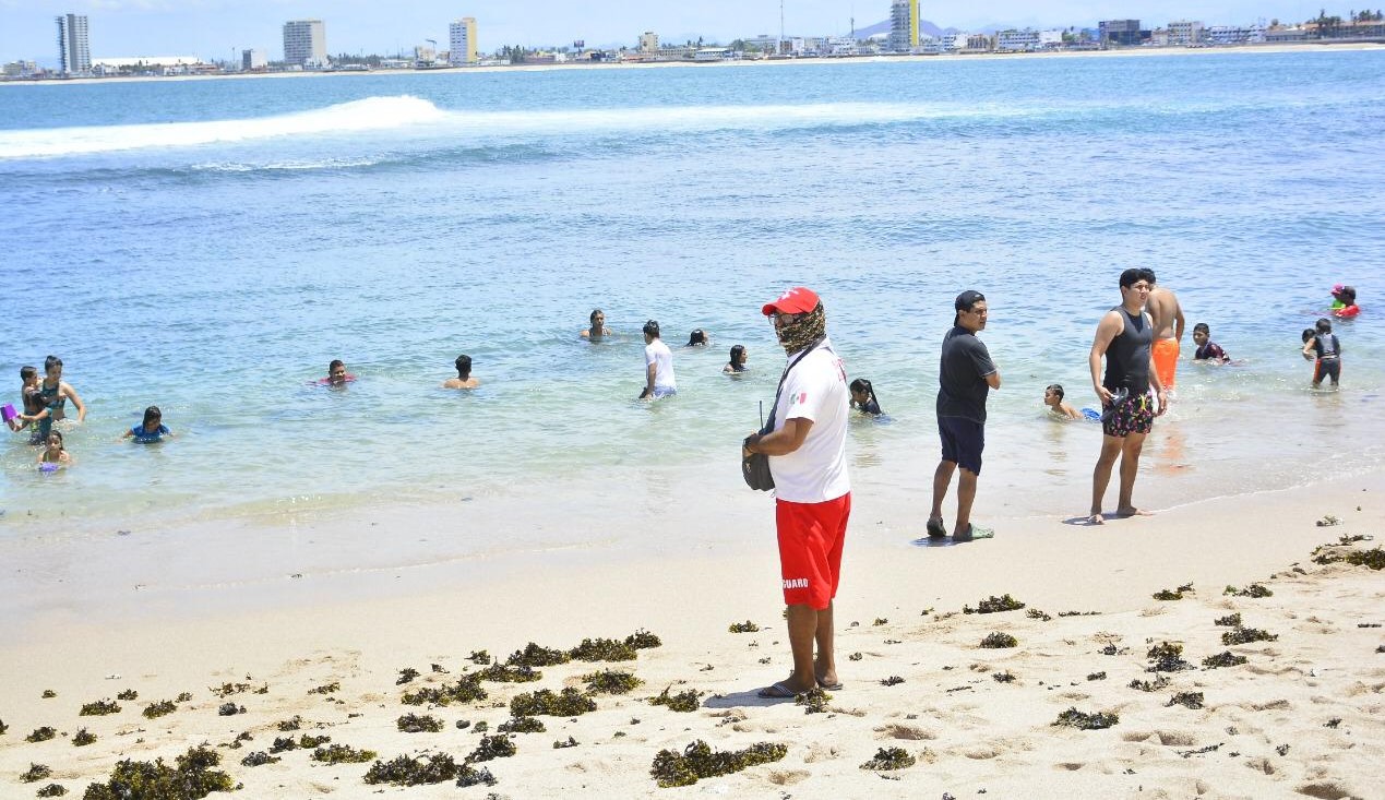 WhatsApp Image 2021-01-06 at 1.54.15 PM