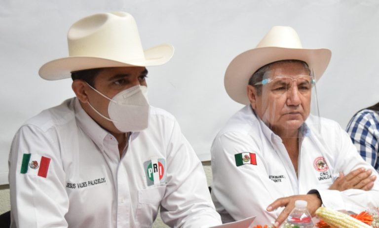 WhatsApp Image 2021-01-06 at 8.32.38 PM