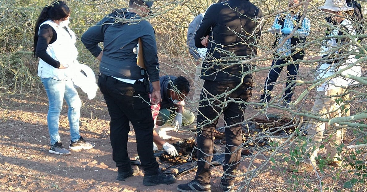 WhatsApp Image 2021-01-07 at 5.33.35 PM (1)