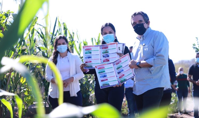 WhatsApp Image 2021-01-09 at 12.25.54 AM