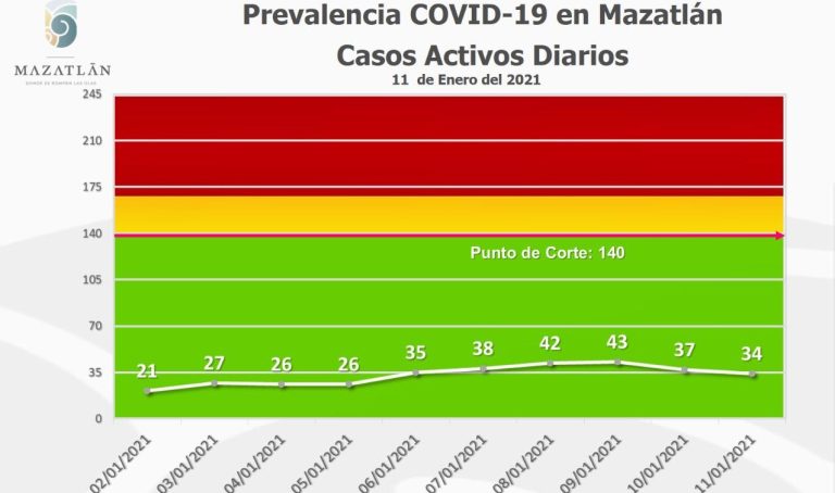 WhatsApp Image 2021-01-12 at 12.51.25 PM (2)