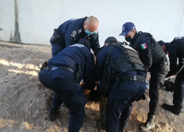 WhatsApp Image 2021-01-13 at 1.14.45 PM