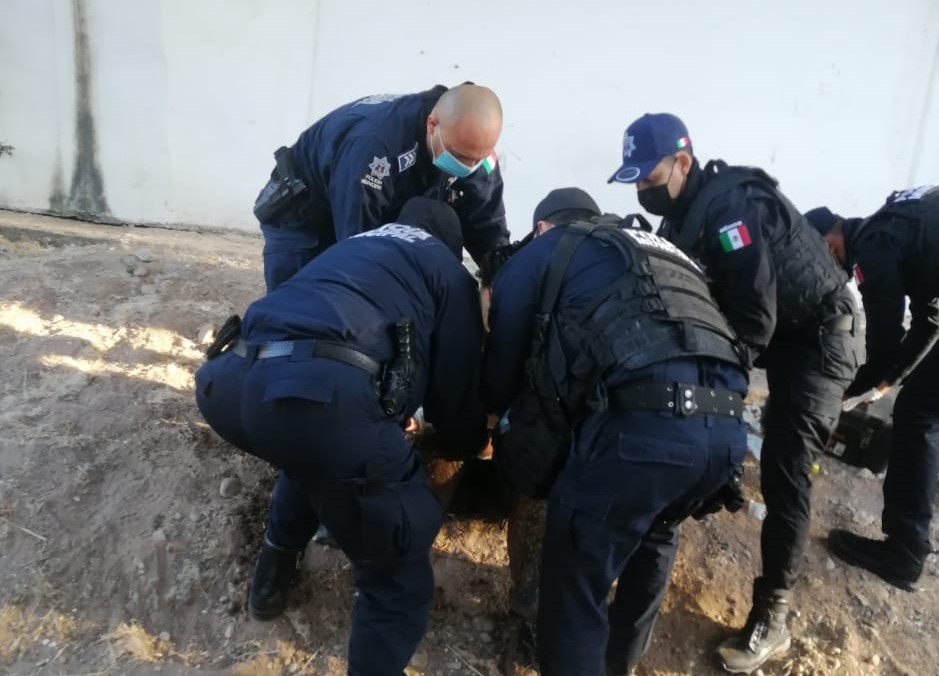 WhatsApp Image 2021-01-13 at 1.14.45 PM