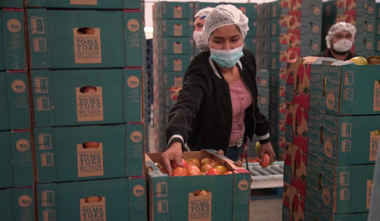 WhatsApp Image 2021-01-13 at 11.37.39 AM