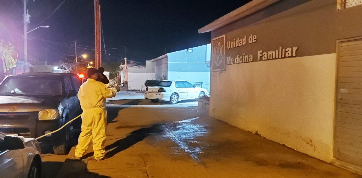 WhatsApp Image 2021-01-25 at 12.51.08 PM