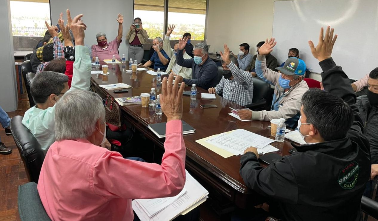 WhatsApp Image 2021-02-03 at 6.01.40 PM (2)