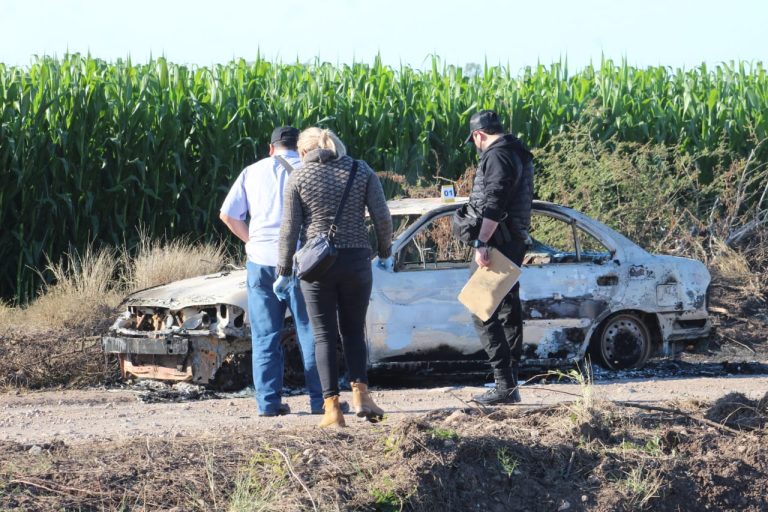 WhatsApp Image 2021-02-09 at 11.44.04 AM (1)