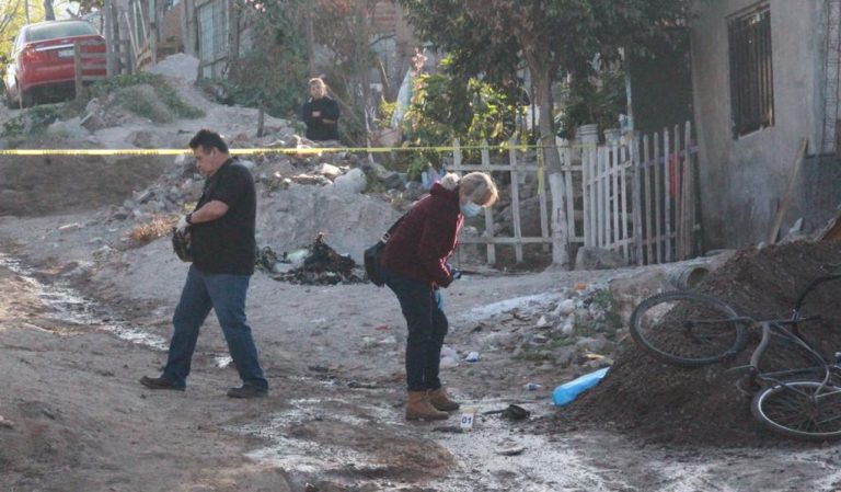 WhatsApp Image 2021-02-13 at 11.08.49 AM