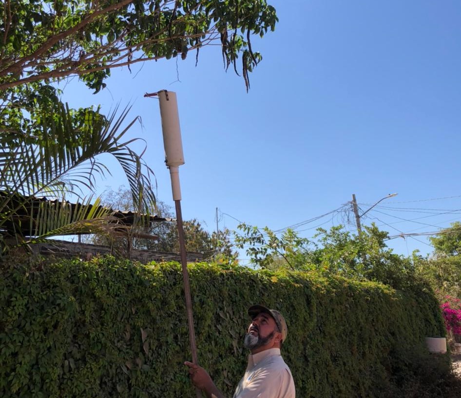 Conservación amapas (3)