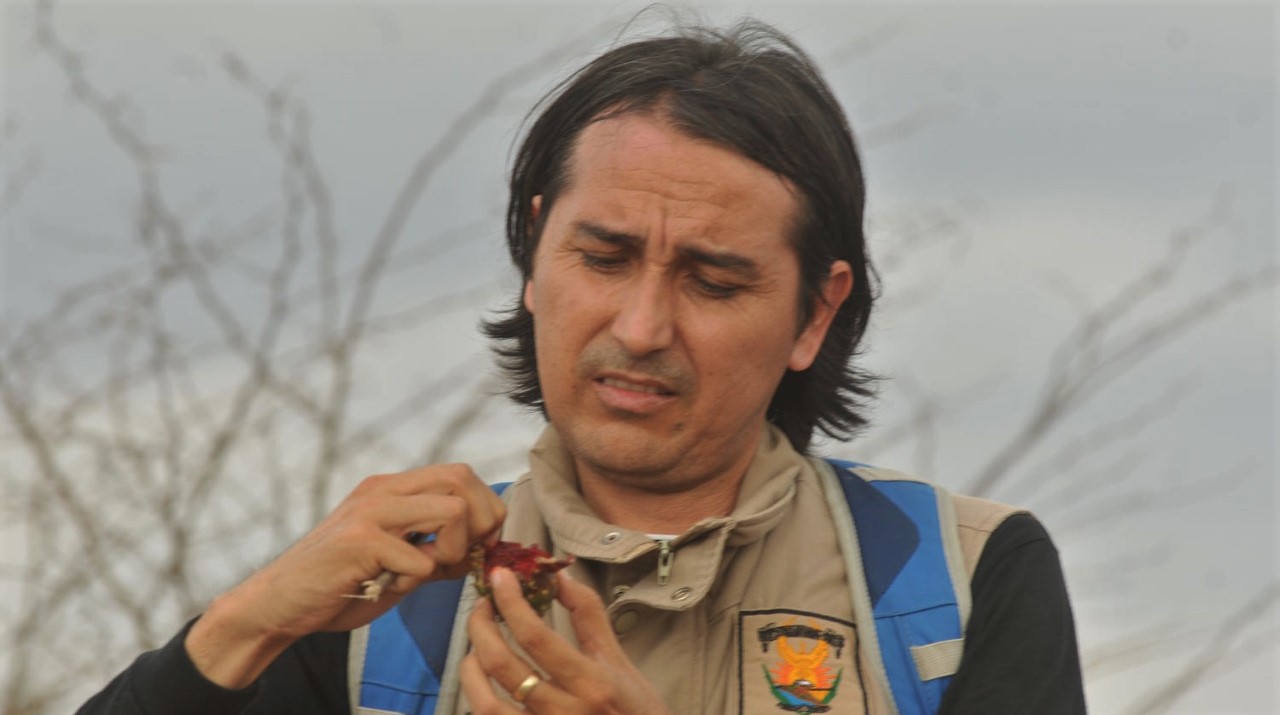 Dr. Bladimir Salomón