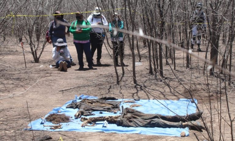 WhatsApp Image 2021-04-30 at 8.12.49 PM (2)