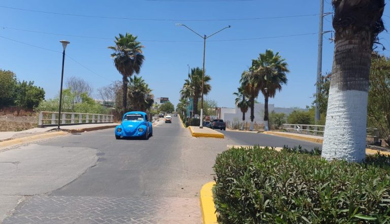 WhatsApp Image 2021-05-03 at 2.47.30 PM