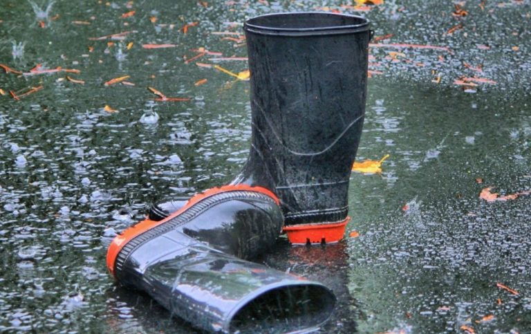 WhatsApp Image 2021-05-25 at 10.32.02 AM