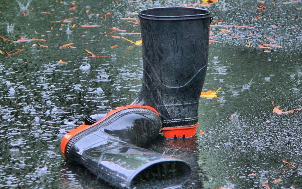 WhatsApp Image 2021-05-25 at 10.32.02 AM