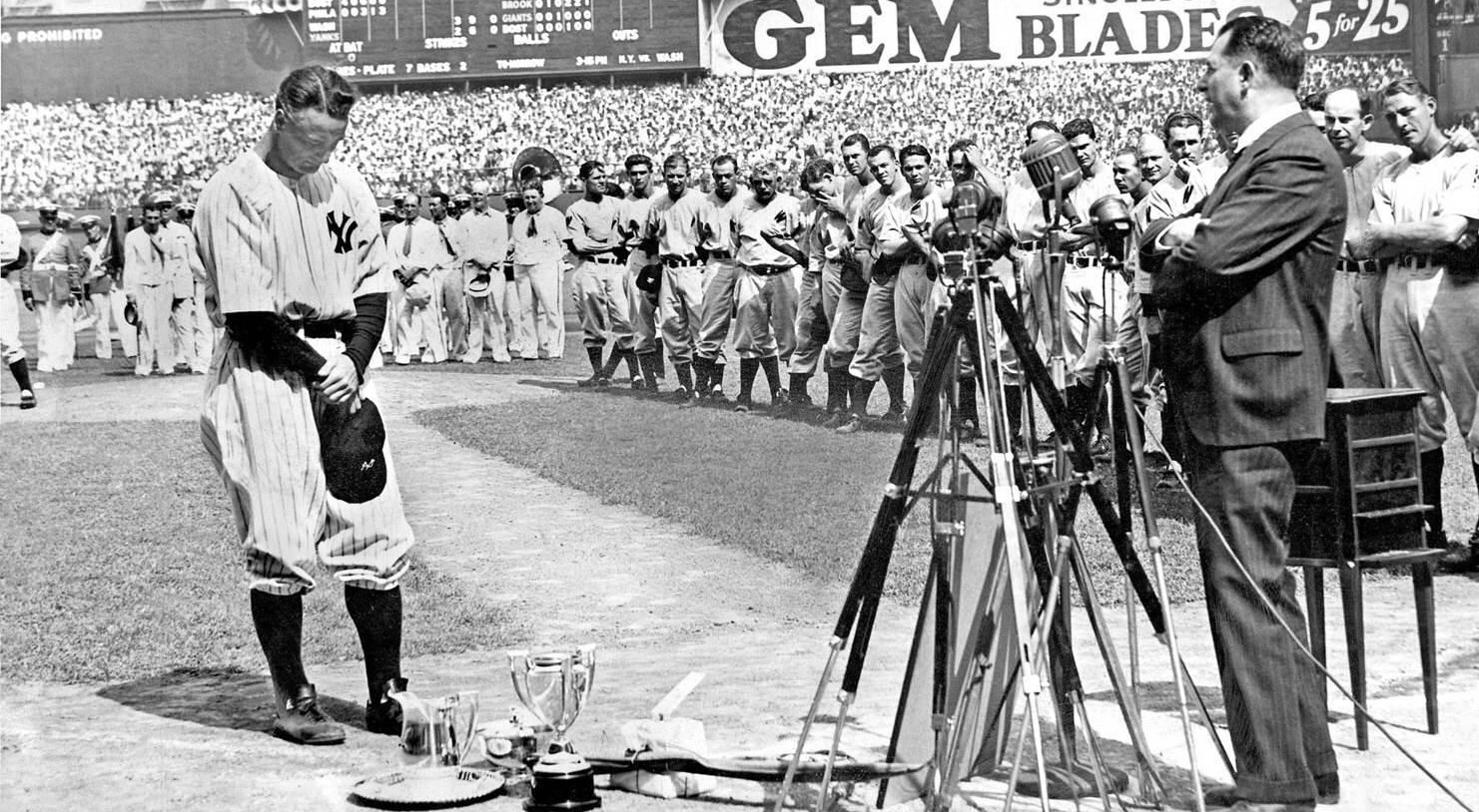 WhatsApp Image 2022-01-31 at 5.09.12 AM