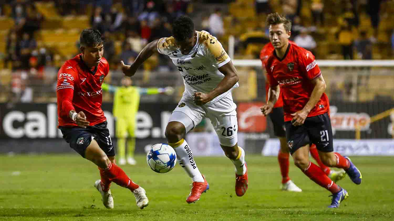 dorados-7
