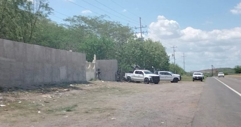 narco
