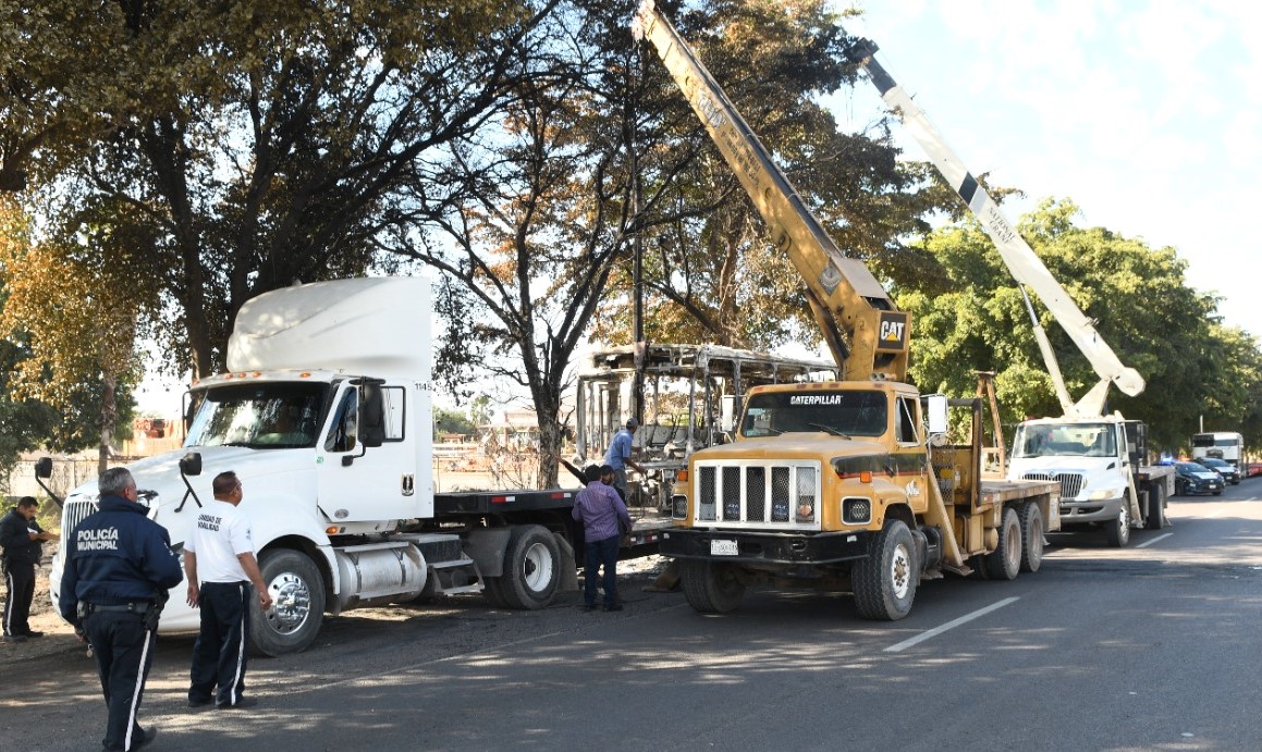 WhatsApp Image 2023-01-08 at 4.03.25 PM