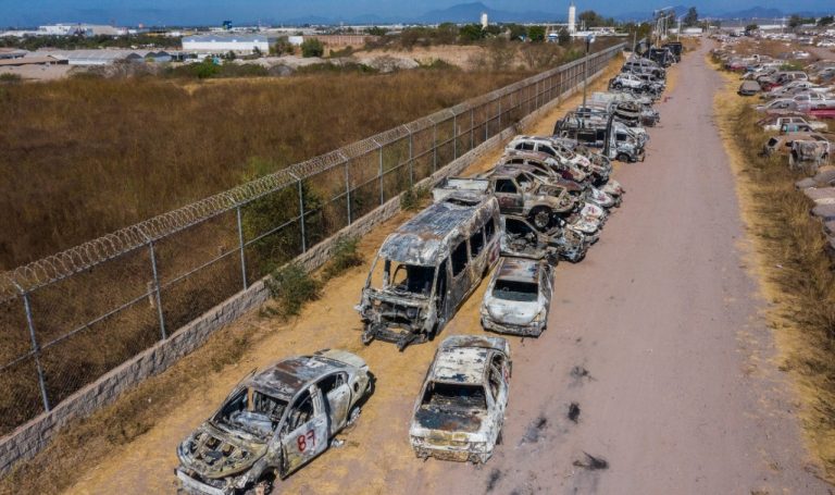 WhatsApp Image 2023-01-08 at 4.06.05 PM