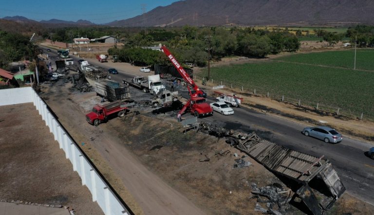 WhatsApp Image 2023-01-09 at 4.12.26 PM (1)