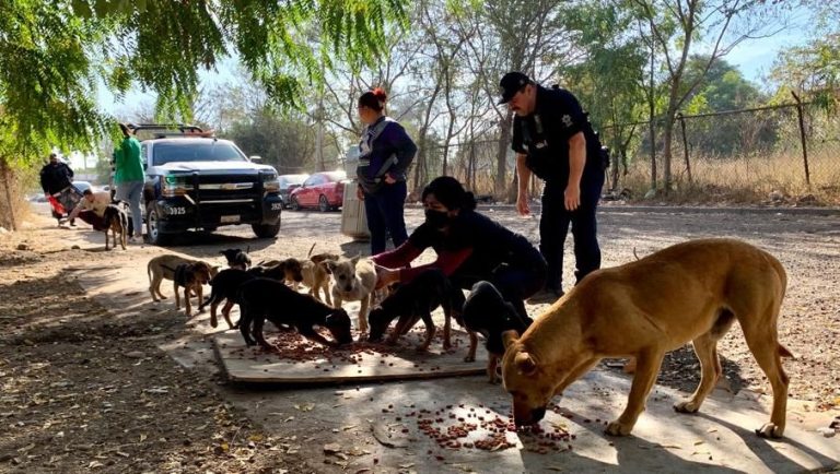 WhatsApp Image 2023-03-01 at 12.10.32 PM