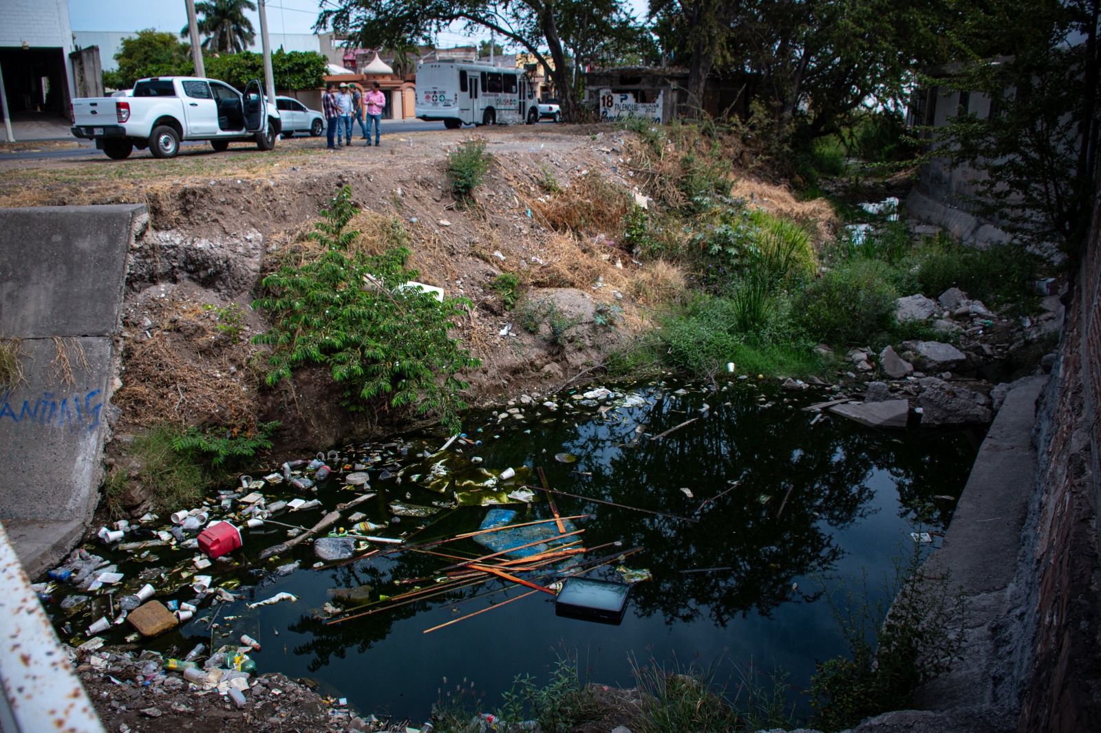 WhatsApp Image 2023-03-29 at 3.11.17 PM