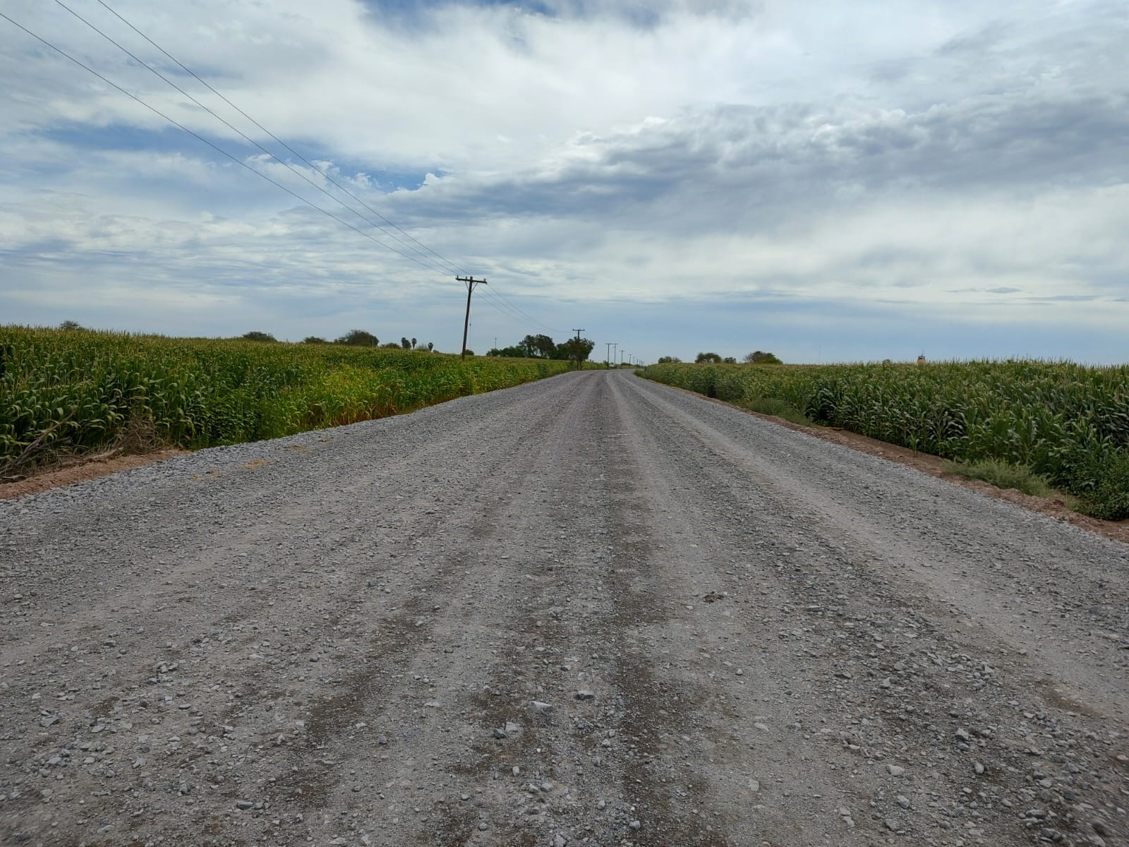 IMG-20230413-WA0077