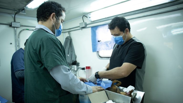 WhatsApp Image 2023-04-24 at 4.02.19 PM