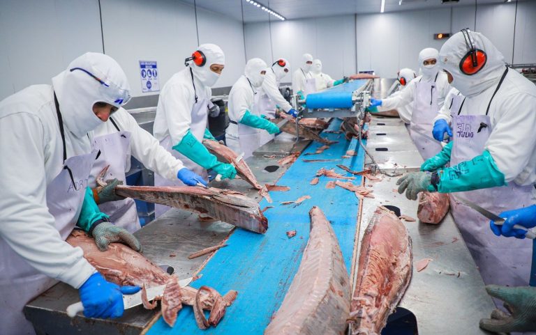 WhatsApp Image 2023-04-27 at 10.32.42 PM