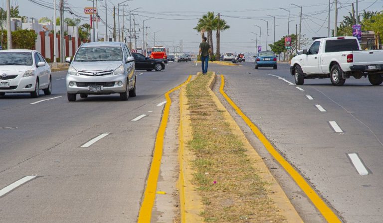 WhatsApp Image 2023-05-03 at 2.54.08 PM