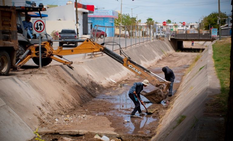 WhatsApp Image 2023-05-03 at 3.42.59 PM