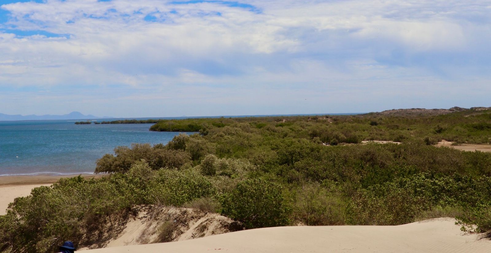 WhatsApp Image 2023-05-04 at 4.42.20 PM