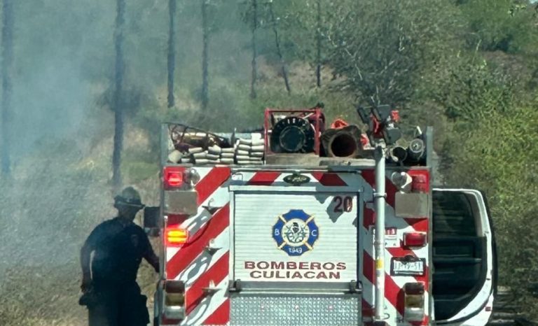 WhatsApp Image 2023-05-10 at 5.05.14 PM