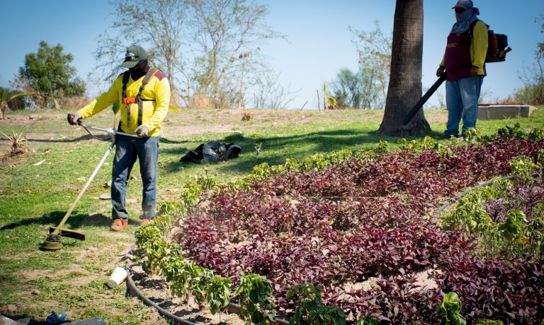 WhatsApp Image 2023-05-11 at 4.45.25 PM